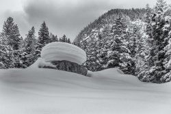 Bells Canyon Overnighter 3-20200121-sm-bw2.jpg