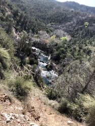 IMG_1403.jpg IMG_1403.jpg