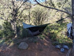 IMG_20200328_080827.jpg IMG_20200328_080827.jpg