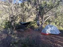 IMG_20200328_080853.jpg IMG_20200328_080853.jpg