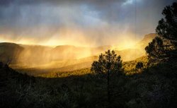 IMG_20200329_170641_351.jpg IMG_20200329_170641_351.jpg