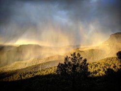 IMG_20200329_171035_109.jpg IMG_20200329_171035_109.jpg