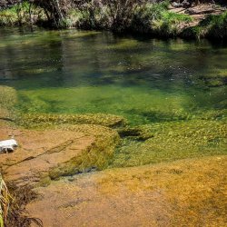 IMG_20200329_192011_211.jpg IMG_20200329_192011_211.jpg