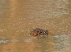 5J5A3591.JPG 5J5A3591.JPG