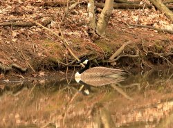 5J5A3602.JPG 5J5A3602.JPG