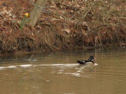 5J5A3610.JPG 5J5A3610.JPG