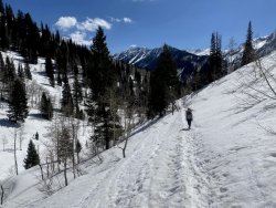 IMG_2254.jpg IMG_2254.jpg