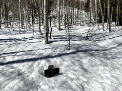 IMG_2259.jpg IMG_2259.jpg