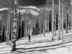 IMG_2263 Copy.jpg IMG_2263 Copy.jpg