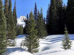 IMG_2282.jpg IMG_2282.jpg