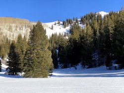 IMG_2306.jpg IMG_2306.jpg