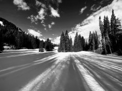 IMG_2372 Copy.jpg IMG_2372 Copy.jpg