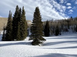 IMG_2386.jpg IMG_2386.jpg