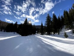 IMG_2390.jpg IMG_2390.jpg