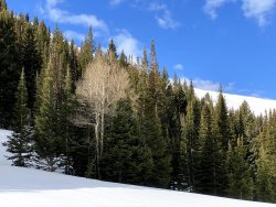 IMG_2398.jpg IMG_2398.jpg