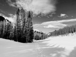 IMG_2434 Copy.jpg IMG_2434 Copy.jpg