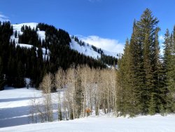 IMG_2442.jpg IMG_2442.jpg