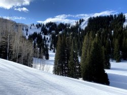 IMG_2444.jpg IMG_2444.jpg