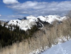 IMG_2477.jpg IMG_2477.jpg