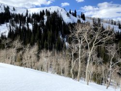 IMG_2485.jpg IMG_2485.jpg