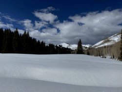 IMG_2490.jpg IMG_2490.jpg