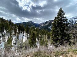 IMG_2501.jpg IMG_2501.jpg