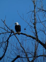 12A20988-3DA0-47CB-8A02-7F188A828F7A.jpeg 12A20988-3DA0-47CB-8A02-7F188A828F7A.jpeg