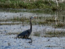 B46556F1-AF7F-4B04-967C-F60F9D7645AF_1_201_a.jpeg B46556F1-AF7F-4B04-967C-F60F9D7645AF_1_201_a.jpeg