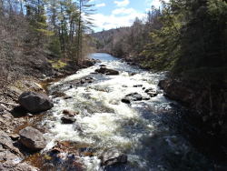 1586981030589.png 1586981030589.png