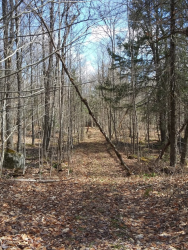 1586981070953.png 1586981070953.png