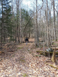 1586981091454.png 1586981091454.png