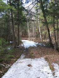 1586981123300.png 1586981123300.png