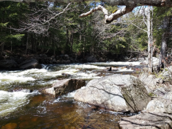 1586981189964.png 1586981189964.png