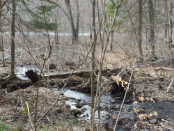 1586981392263.png 1586981392263.png