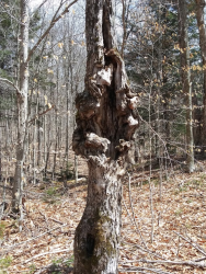 1586981670017.png 1586981670017.png