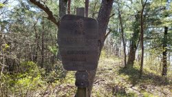 20200415_225131.jpg 20200415_225131.jpg