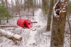 Trip 203 (12)-XL.jpg Trip 203 (12)-XL.jpg