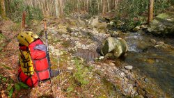 Trip 203 (62)-XL.jpg Trip 203 (62)-XL.jpg