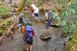 Trip 203 (315)-XL.jpg Trip 203 (315)-XL.jpg