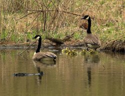 5J5A3691.JPG 5J5A3691.JPG