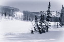 Desolation Good Friday 4-20200008-bw.jpg