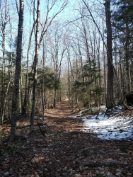 1587418437931.png 1587418437931.png