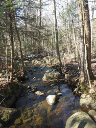 1587418510322.png 1587418510322.png