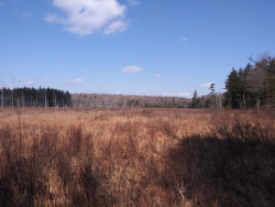 1587418640514.png 1587418640514.png