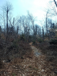 1587418710674.png 1587418710674.png