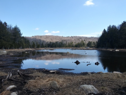 1587418833795.png 1587418833795.png