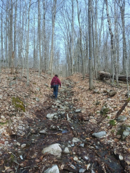 1587418904702.png 1587418904702.png