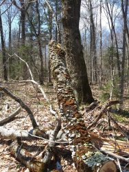 1587419001624.png 1587419001624.png