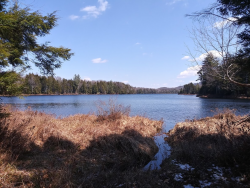 1587419023260.png 1587419023260.png