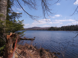 1587419074481.png 1587419074481.png